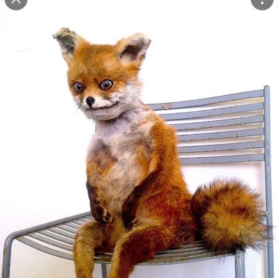 LILLIAN_aire's profile picture. do not ask me about anything on here, I am here to JOKE and LIE