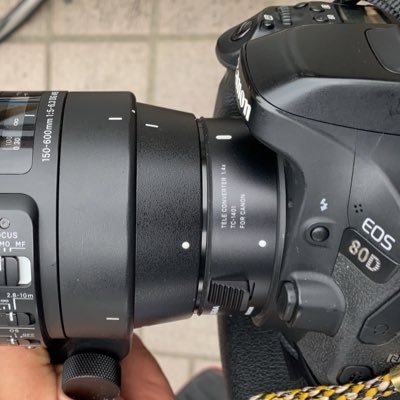 みみにさんのプロフィール画像