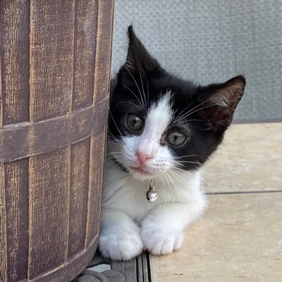 carrie23f's profile picture. 