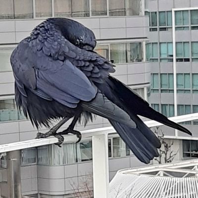 旻(akizora)さんのプロフィール画像