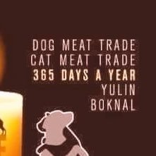 Spreading word about the brutal dog and cat meat trade across the world