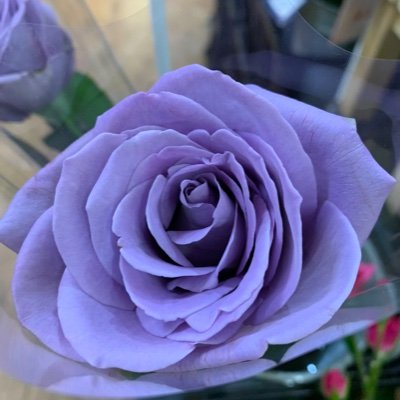 jV6TvcdcTvw8DZu's profile picture. P活募集してます！