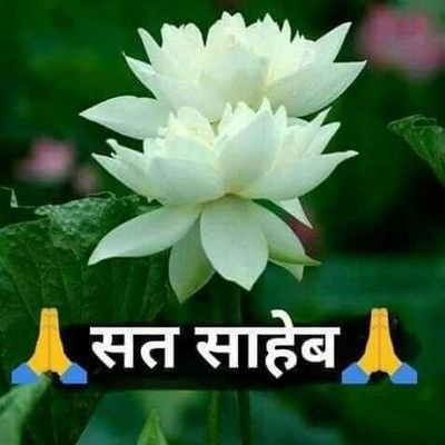 LalitaM60276559's profile picture. 🌸Sat Saheb!! 🌸🙏🙏