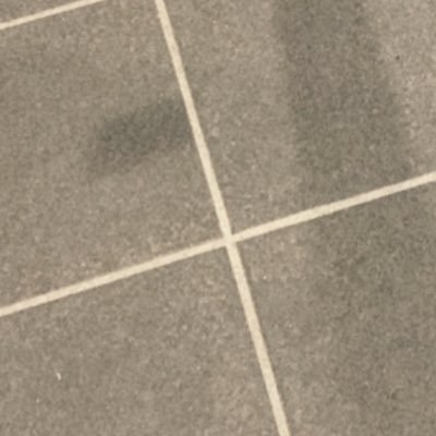 pizzacat30's profile picture. 春から崇城大学薬学部です！  よろしくお願いします！