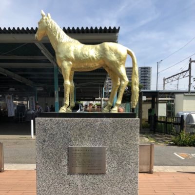 Orfervre2nd's profile picture. 競馬専用アカウント ここに予想や、備忘録として残していくものをツイート 予想印は特注☆印を馬券の軸として予想→馬券は馬連･ワイドがメイン 1週間前予想(重賞)最終候補(重賞) いいねフォローお気軽に✨
