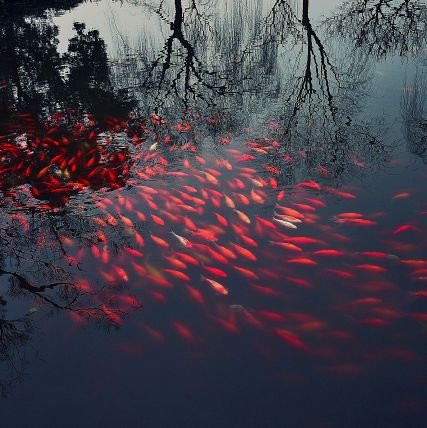 Erickduarte534's profile picture. saccaaa