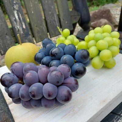 sLUO0yRoeL8j2SH's profile picture. 長野県上田市で、義母から引き継いだぶどう畑に挑戦中です！4年目どんなぶどうが出来るか楽しみです🍇
自分の健忘録として始めました。
#シャインマスカット
#ナガノパープル
#巨峰
#ラフランス
#幸水
#豊水
#農業女子
#長野県
#信州
#家庭菜園