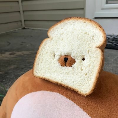 식빵곰さんのプロフィール画像