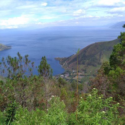 Multa_srg's profile picture. 