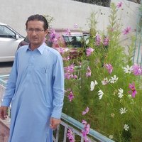 رحمت اڅکزئی(@rehmatkhan_asak) 's Twitter Profile Photo