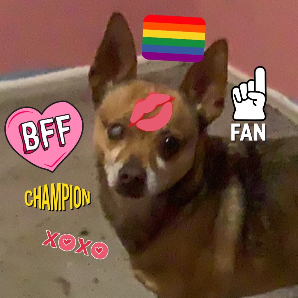Արմեն, 29. any pronouns. if i was on reality tv i WOULD be there to make friends