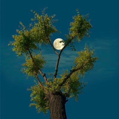 Er7Dal's profile picture. 