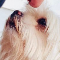 Ja 🙈 (@herrraustragend) 's Twitter Profile