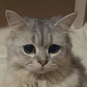 riyo_oyo's profile picture. 社会人/読書/哲学的なこと好き/スイーツ大好き/気の合う人と語れるとうれしいです/無言フォロー失礼します