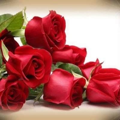 Yovanii123's profile picture. 
