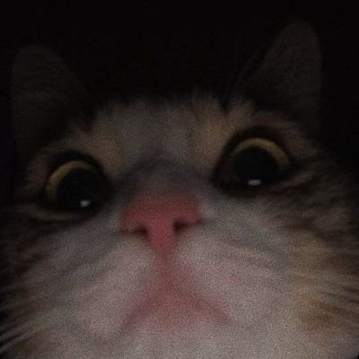 NTmuluuuuuu's profile picture. Akun ini jarang aktif,tapi bukan ma'ruf amin