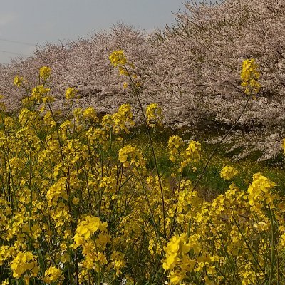 大家さんやってます。埼玉県久喜市在住。ITエンジニア(UNIXインフラ系)からFIRE。小規模ノンレバでのんびり。