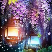 sanaef0325's profile picture. 