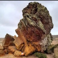 Wessex Orienteering Club (@wessexorienteer) 's Twitter Profile Photo Wessex Orienteering Club (@wessexorienteer) 's Twitter Profile Photo