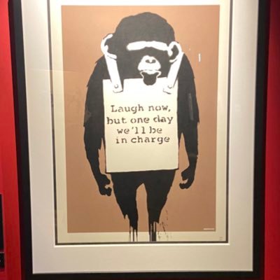 Hitogasuki12's profile picture. 