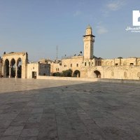 gamal (@gamal_misralaan) Twitter profile photo