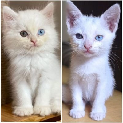 Jika kita tak di beri apa yg kita inginkan, yakinlah bahwa Allah telah menyiapkan apa yg kita butuhkan,, :)