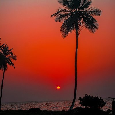 Amir_riser's profile picture. 