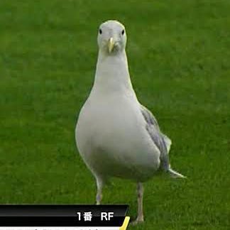 kAIQ1Dz476FHqQU's profile picture. 閲覧用