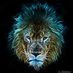 LionWire Profile picture