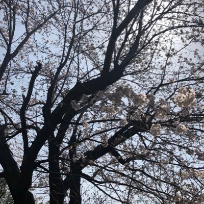 dreamer07254314's profile picture. 人生色々とあり、実家に戻り数年。断捨離中に予備校時代の教材を発見してから再び勉強しようか思案中。主に介護と勉強関連に関心があり、こちらは本垢と分けた別垢。フォローさせていただくかもしれません。まだまだ初心者ですが、よろしくお願いします！