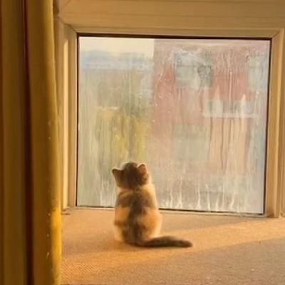 LynnA339134's profile picture. 18+ Chinese, NOT often online(network problem)
BEASTARS メロン 🍈my favorite ，and I'm trying to draw better ,but my stupid hands……