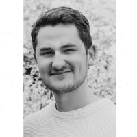 Niklas Armbrust (@niggles293t) 's Twitter Profile