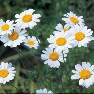 MartinMMuriith1's profile picture. Thinker/CPA/Dad/Mentor/Market System Facilitator