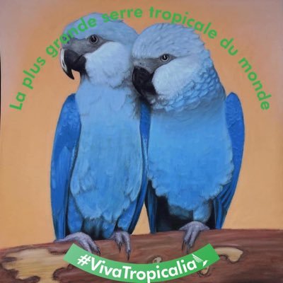 fredericde1's profile picture. bonjour, je suis un des 20 Ambassadeurs de la future plus grande serre tropicale du monde a rang du fliers pres de berck sur mer boulogne sur mer france