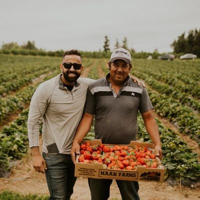 🧙‍♂️ Community & Events Manager at @WizardPassNFT 🍓 Farmer & Owner at @MaanFarms
 📢 Let's set up an AMA