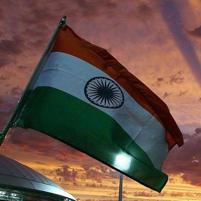 Rohan29m's profile picture. Simply the best