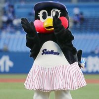 Swallow (@frag4thment) 's Twitter Profile