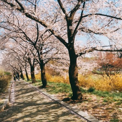 begood3701's profile picture. Taiwan L.O.Λ.E , LOVE NU'EST                
러브 앤유 , 도노, 황도, 민기적 입니다