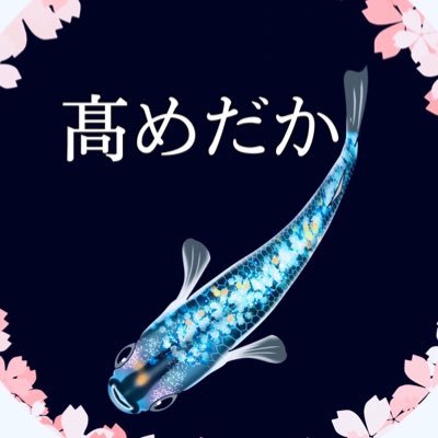 宮城県でメダカの飼育、販売をしています。メダカ百華12に掲載されました。屋外飼育とハウスでのびのび育てております！気になる品種がいましたら気軽にDMをよろしくお願い致します！