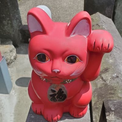 黑猫さんのプロフィール画像