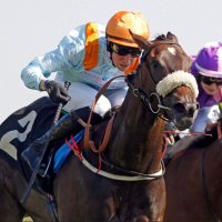Ross Coakley (@rosscoakley) 's Twitter Profile