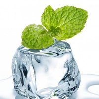The Jolly Mint(@thejollymint) 's Twitter Profile Photo