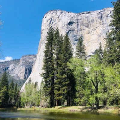 tradition1881's profile picture. 