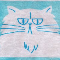 ããã¡ããŒð³ðŸ (@bowling_shacho) 's Twitter Profile Photo ããã¡ããŒð³ðŸ (@bowling_shacho) 's Twitter Profile Photo