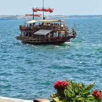 Deniz Akdeniz(@DenizAk70121806) 's Twitter Profile Photo