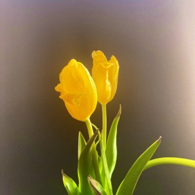 ge_izxv's profile picture. 