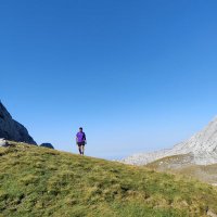 Soy tu barba (@algunapatata7) 's Twitter Profile Photo