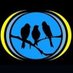 Pajaritos FM (@pajaritosfm) Twitter profile photo Pajaritos FM (@pajaritosfm) Twitter profile photo