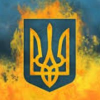 STOP PUTÏN NOW 🇺🇦🇺🇦 Slava Ukraïnï!🇬🇪🇬🇧🇺🇦 (@therealfaroes) 's Twitter Profile Photo