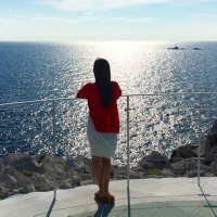 Sho (@shokoinrs) 's Twitter Profile